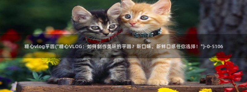 糖心vlog官网下截：糖心vlog芋圆(\
