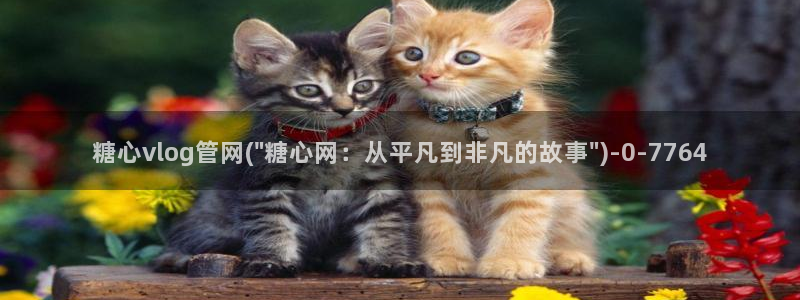 糖心vlog网站入口：糖心vlog管网(\