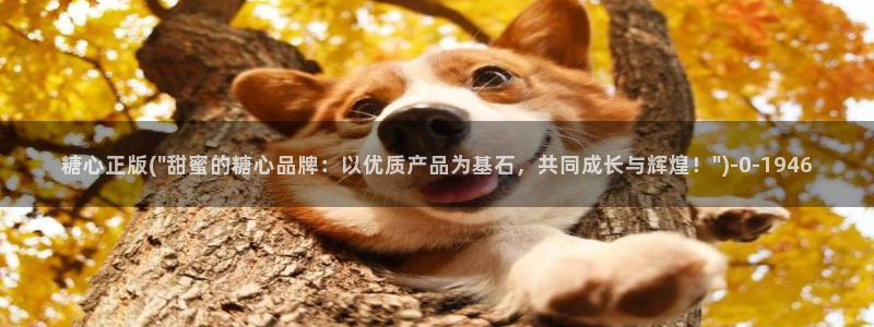 糖心vlog新官网版入口：糖心正版(\
