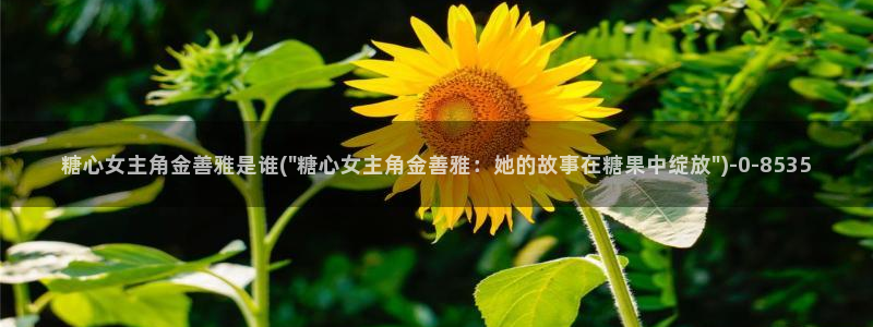 心糖vlog 破解版：糖心女主角金善雅是谁(\
