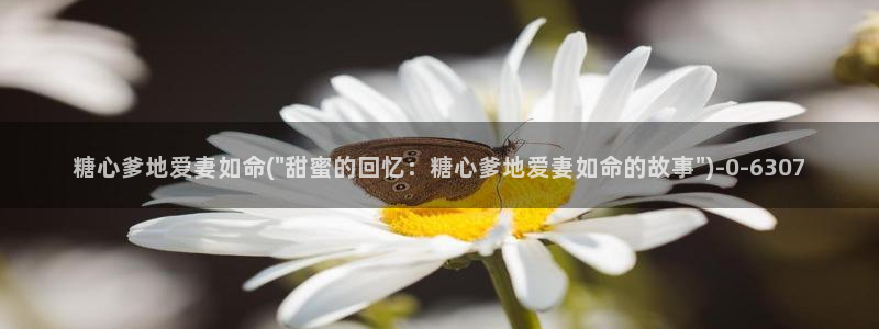 糖心vlog桃子酱：糖心爹地爱妻如命(\