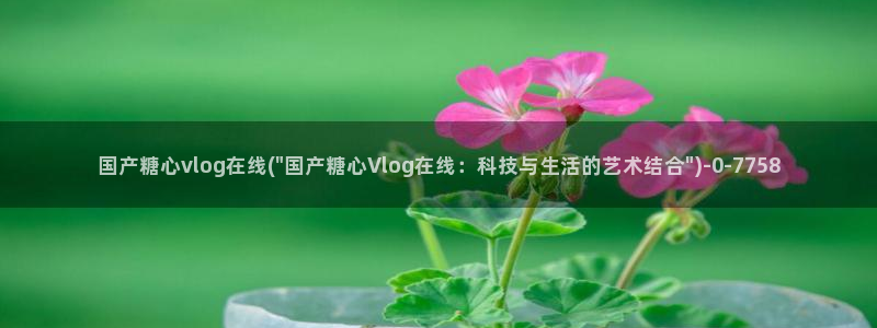 糖心vlog全部作品