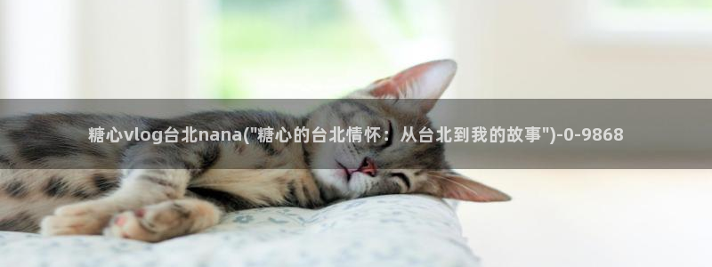 糖心vlo go
